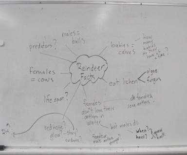 Celebration: Week One in The Land of New