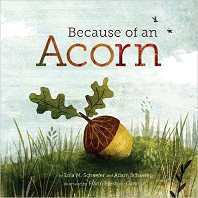 because-of-an-acorn