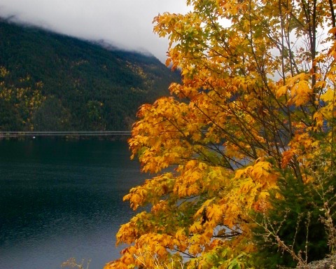 Monday October 17th, 2016