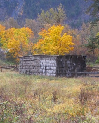 Celebration: Vague Musings There's a Book for That 