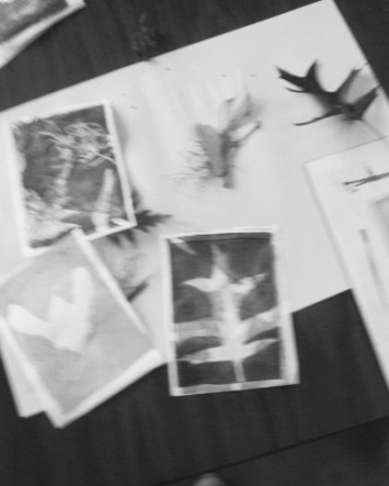 Celebration: Vague Musings There's a Book for That 