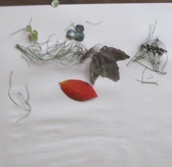 Celebration: Vague Musings There's a Book for That 