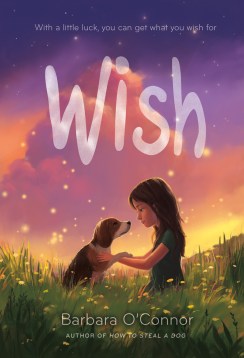 wish-by-barbara-o-connor