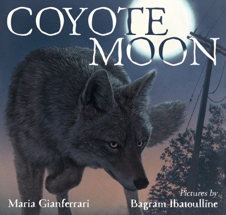 coyote-moon