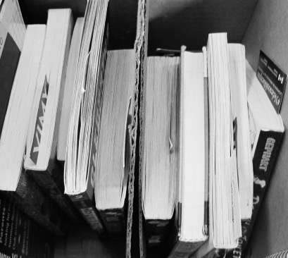 It's that good: Slice of Life #30