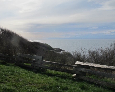 So far: Slice of Life #24