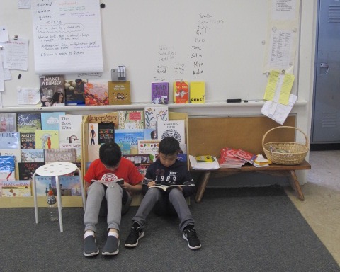 Summer Maintenance in the Classroom Library. Step 4: The Details There's a Book for That