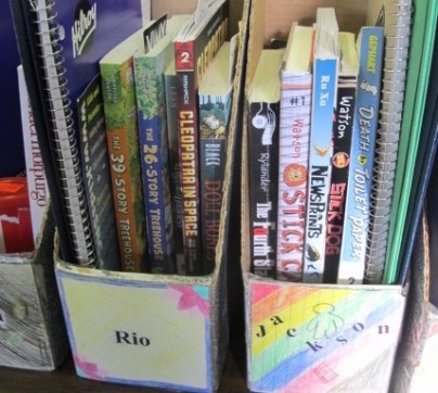 Summer Maintenance in the Classroom Library. Step 4: The Details There's a Book for That