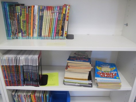 Summer Maintenance in the Classroom Library. Step 2: Additions