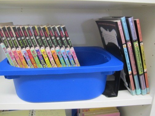 Summer Maintenance in the Classroom Library. Step 2: Additions