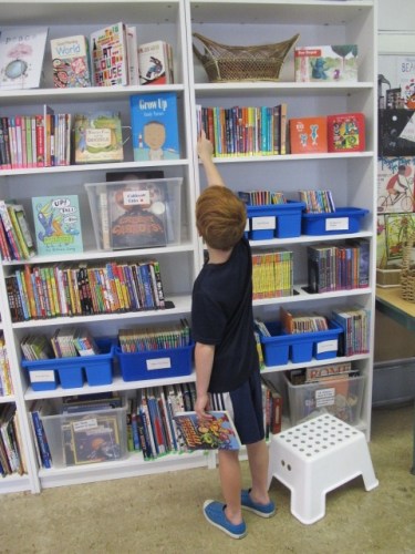 Summer Maintenance in the Classroom Library. Step 4: The Details There's a Book for That