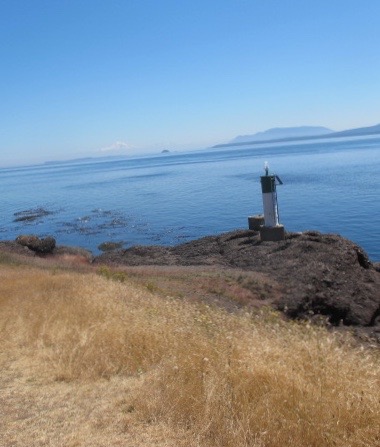 Summer Maintenance in the Classroom Library. Step 5: Sourcing